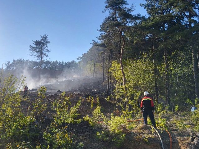 지난 28일 평택 진위면 동천리 야산에서 불이 나 진화 작업을 벌여 1시간 21분 만에 진화했다. 경기도소방재난본부 제공