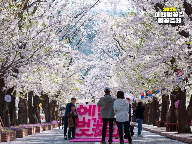 에덴벚꽃길 벚꽃축제 행사 모습. 올리브스타 제공