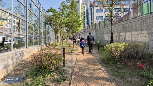 학생들이 방치된 녹지공간이 아름다운 등하굣길로 재탄생한 옥정호수초등학교 앞 오솔길을 따라 등교하고 있다. 옥정호수초교 제공