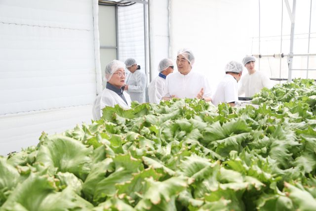 스마트팜 시범 재배시설 구축 농가설명회가 진행되고 있다. 연천군 제공