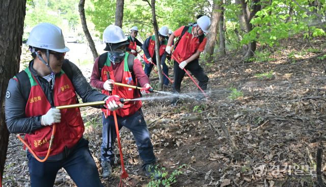 산불 대비한 '광주시 유관기관 합동 산불진화 및 대피훈련' [포토뉴스]