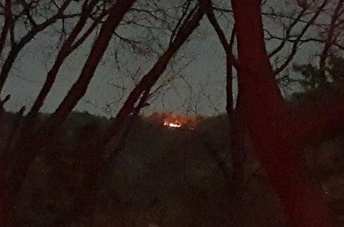 남양주 평내동 벡봉산 화재현장. 산림청 제공