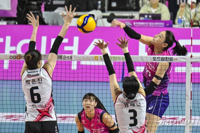 여자배구 흥국생명, 5세트 끝에 챔피언 [포토뉴스]