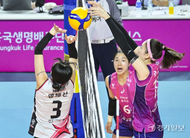 여자배구 흥국생명, 5세트 끝에 챔피언 [포토뉴스]