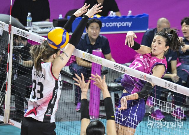 여자배구 흥국생명, 5세트 끝에 챔피언 [포토뉴스]