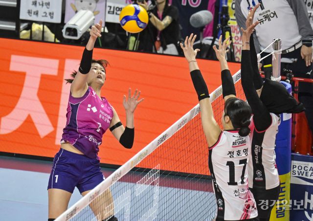 여자배구 흥국생명, 5세트 끝에 챔피언 [포토뉴스]