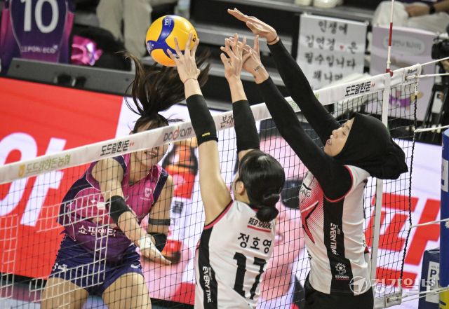 여자배구 흥국생명, 5세트 끝에 챔피언 [포토뉴스]