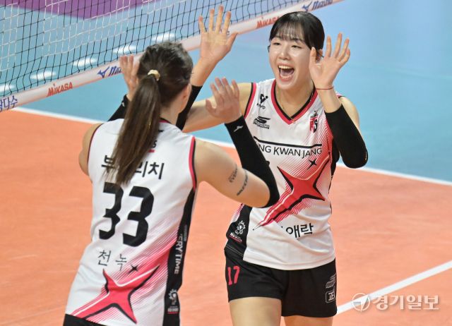 여자배구 흥국생명, 5세트 끝에 챔피언 [포토뉴스]