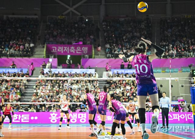 여자배구 흥국생명, 5세트 끝에 챔피언 [포토뉴스]