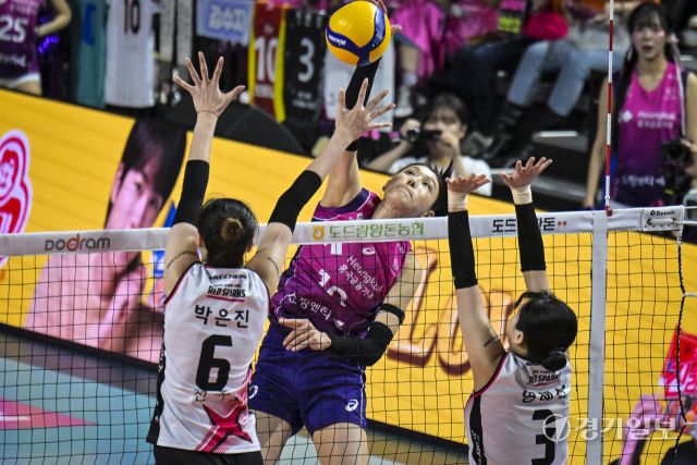 여자배구 흥국생명, 5세트 끝에 챔피언 [포토뉴스]
