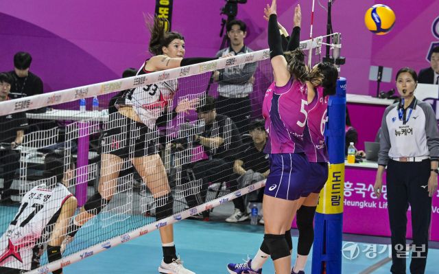 여자배구 흥국생명, 5세트 끝에 챔피언 [포토뉴스]