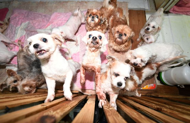 기사의 이해를 돕기 위한 자료 사진. 경기일보DB