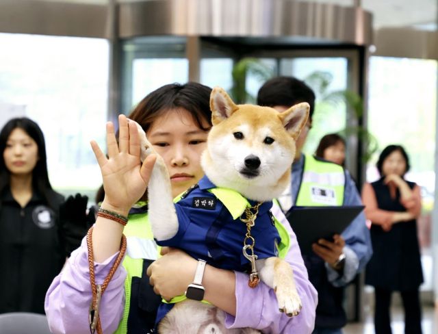 ‘반려견 순찰대 양반견’ 출범식에 참석한 반려견과 견주. 안양시 제공.