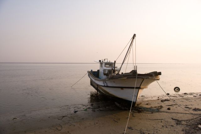 기사의 이해를 돕기 위한 이미지로 기사와 직접적 연관은 없습니다. 이미지투데이