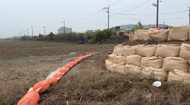 인천 흰발농게 서식지에 가물막이(흙이 담긴 톤백)가 설치돼 있다. 인천녹색연합, 인천환경운동연합 제공