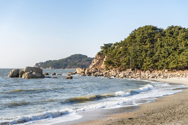 기사의 이해를 돕기 위한 이미지로 기사와 직접적 연관은 없습니다. 이미지투데이