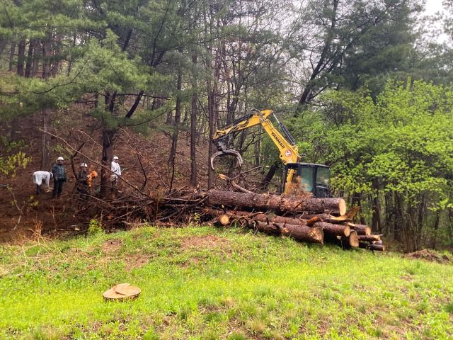 가평군 직원들이 소나무 재선충병 긴급방제을 하고 있다. 가평군 제공