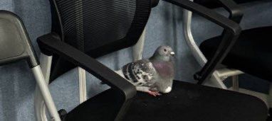 이재명 후보 캠프에 알을 낳고 사라진 비둘기. 캠프 제공