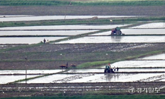 18일 인천 강화군 강화평화전망대에서 바라본 북한 황해도 개풍군에서 북한 주민들이 모내기를 하고 있다. 조병석기자