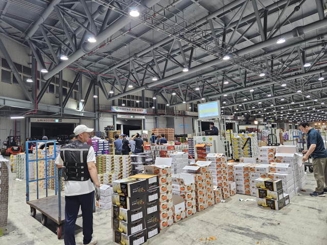 인천 남동구 남촌농축산물도매시장에서 이른 새벽 과일동에서 경매를 하고 있다. 인천시 제공