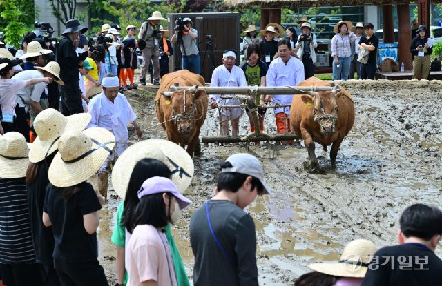 국립농업박물관, 전통 농경문화 체험 [포토뉴스]