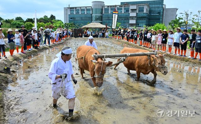 국립농업박물관, 전통 농경문화 체험 [포토뉴스]
