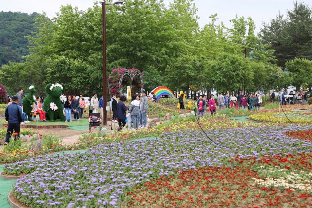 “2025년 자라섬 꽃 페스타 개막”