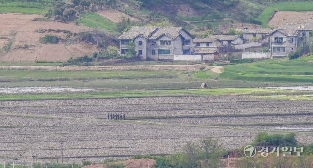 북한이 연일 신무기를 과시하고 북·중·러 3각 공조 강화를 꾀하는 등 도발을 이어가고 있는 가운데 6일 파주시 오두산통일전망대에서 바라본 북한 황해북도 개풍군에서 주민들이 밭을 일구고 있다. 윤원규기자