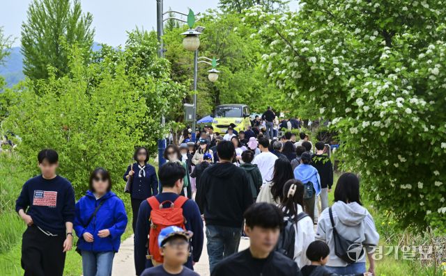 황금연휴 마지막날, 두물머리에서 휴일을 즐기는 관광객들 [포토뉴스]