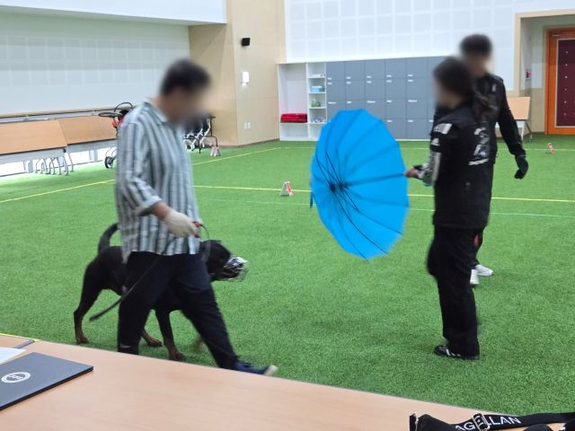 경기도가 맹견사육허가를 위해 기질평가를 하고 있다. 경기도 제공