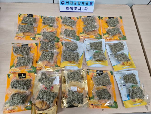 건망고 포장지 안에 은닉한 대마초. 인천공항세관 제공