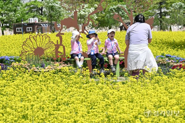 ‘2025 구리유채꽃축제’ 개막을 하루 앞둔 8일 오전 구리한강시민공원에서 한 어린이집 원아들이 노란 유채꽃 물결을 감상하고 있다. 다양한 꽃과 공연, 먹거리가 마련된 이번 축제는 11일까지 열린다. 김시범기자