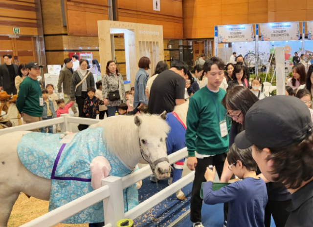 체험 중심의 말 산업관. 한국마사회 제공