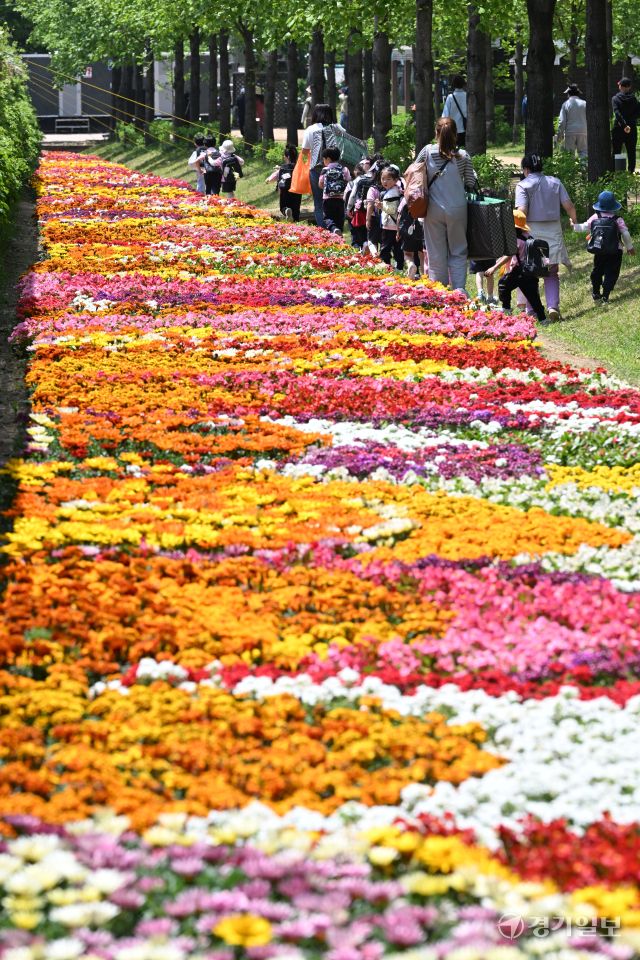 ‘2025 구리유채꽃축제’ 개막을 하루 앞둔 8일 오전 구리한강시민공원에서 시민들이 각종 꽃을 감상하고 있다. 다양한 꽃과 공연, 먹거리가 마련된 이번 축제는 11일까지 열린다. 김시범기자