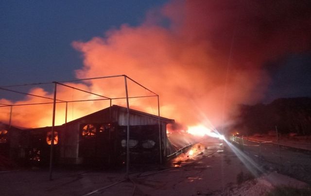 평택시 오성면 양교리에 위치한 양계장 화재 현장. 경기도소방재난본부 제공