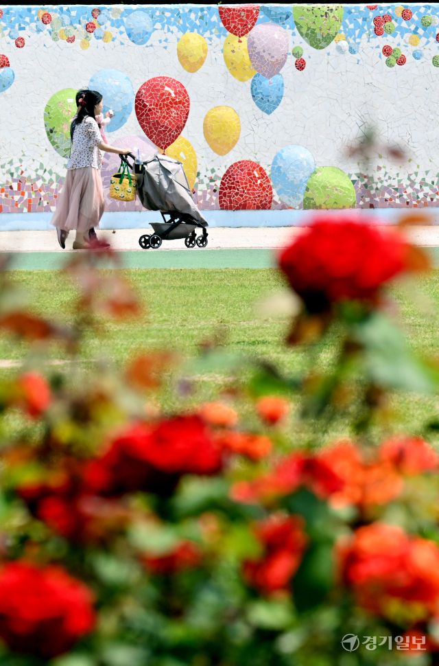 1일 인천 연수구 송도국제도시 해돋이공원 장미원을 찾은 시민들이 형형색색의 활짝 핀 장미를 감상하며 6월의 첫날을 만끽하고 있다. 조병석기자