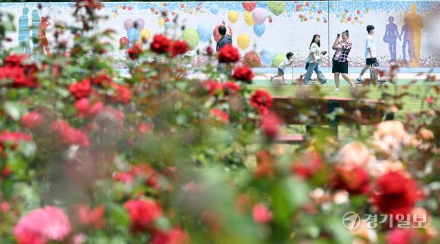 1일 인천 연수구 송도국제도시 해돋이공원 장미원을 찾은 시민들이 형형색색의 활짝 핀 장미를 감상하며 6월의 첫날을 만끽하고 있다. 조병석기자