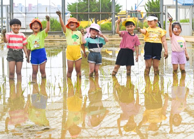 10일 오전 수원특례시 농촌진흥청 국립식량과학원 중북부작물연구센터 작물연구동에서 열린 '논에서 만나는 자연 교실, 어린이 모내기 체험'에 참가한 어린이들이 손 모내기를 체험하고 있다. 조주현기자