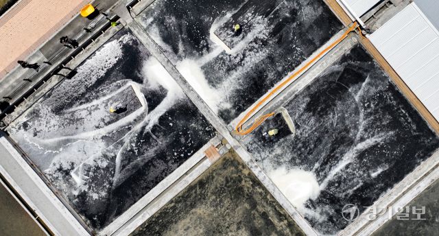 11일 인천 남동구 소래습지생태공원 염전에서 공원 관계자들이 소금을 채취하고 있다. 소래염전은 1970년대 국내 최대 천일염 생산지로 자리 잡았으나 채산성이 떨어져 1996년 7월 폐쇄한 뒤 2008년부터 3만5천㎡(1만500여평) 규모에서 옛 방식을 유지하며 천일염을 생산 및 체험장으로 사용하고 있다.조병석기자