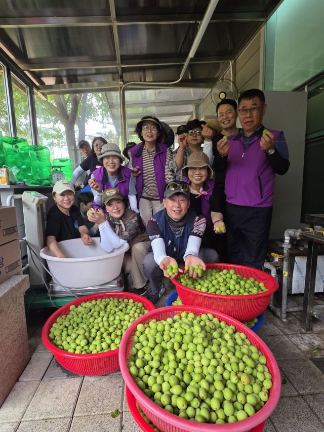 13일 오전 기흥동행정복지센터 옆 공세천 산책로 매화나무에서 매실을 수확한 권현찬 기흥동장, 통장협의회 및 주민자치위원 등 봉사자들이 기념촬영을 하고 있다. 기흥동 제공