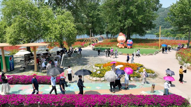 자라섬 꽃 페스타. 가평군 제공