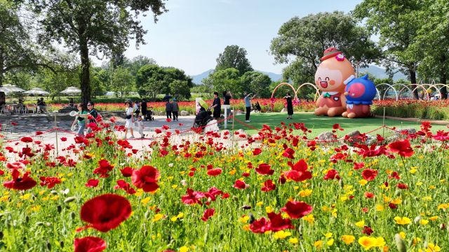 가평 ‘자라섬 꽃 페스타’ .가평군 제