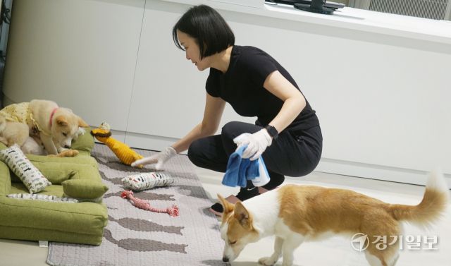 입양을 상담하면서 유기동물과 교감할 수 있도록 카페처럼 꾸민 공간을 최성희씨가 청소하고 있다. 신진욱기자