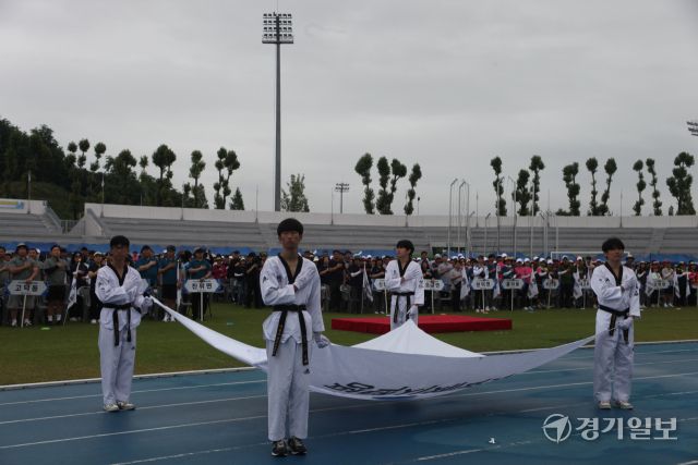 지난 14일 오전 평택시 소사벌레포츠타운에서 열린 ‘평택시민체육대회’에서 시 체육회 소속 태권도 선수들과 시민들이 국기에 경례를 하고 있다. 윤동현기자