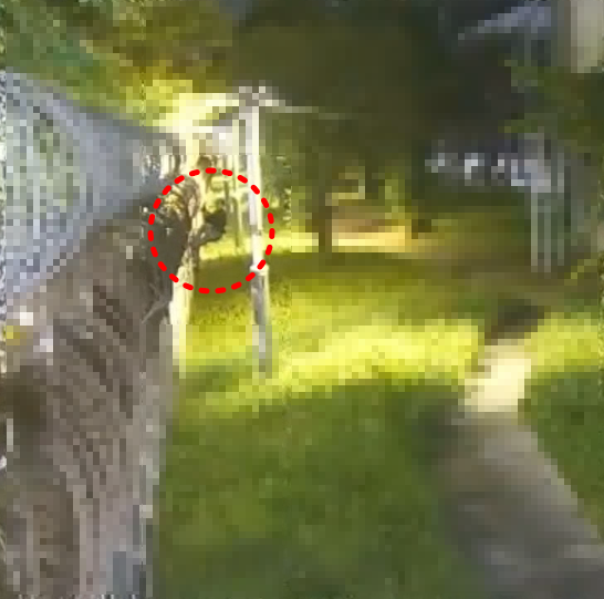 보안울타리를 넘으려 하는 모습. 인천항보안공사 제공