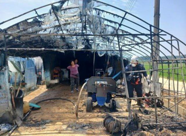 여주 세종대왕면 농업용 비닐하우스 화재 현장. 경기도소방재난본부 제공