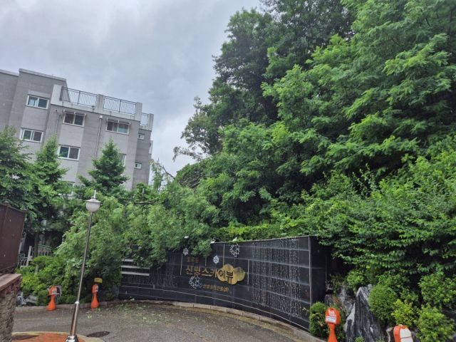 20일 오전 인천 서구 불로동 한 아파트 단지 나무가 쓰러진 모습. 인천소방본부 제공