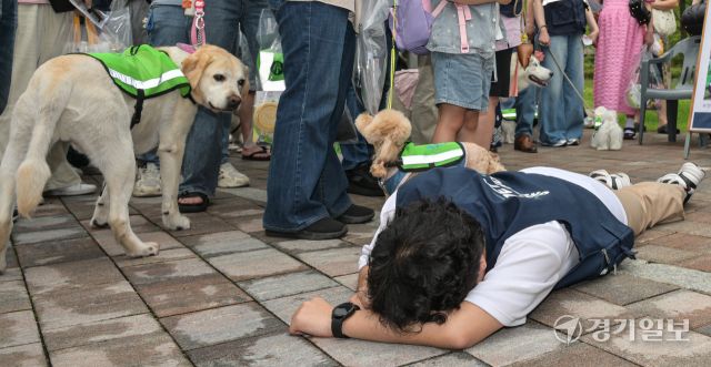 21일 오전 수원특례시 정자동 복합문화공간 111CM에서 열린 '2025 수원시 반려견순찰대 발대식'에서 순찰대원들이 신고 요령을 교육받고 있다.