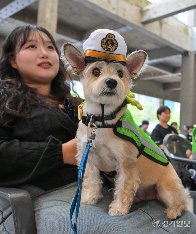 21일 오전 수원특례시 정자동 복합문화공간 111CM에서 열린 '2025 수원시 반려견순찰대 발대식'에 참가한 순찰대원들 모습