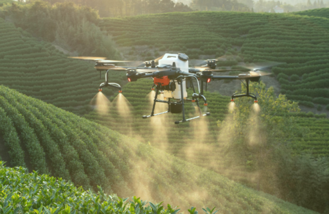 드론방제 모습. 포천시 제공